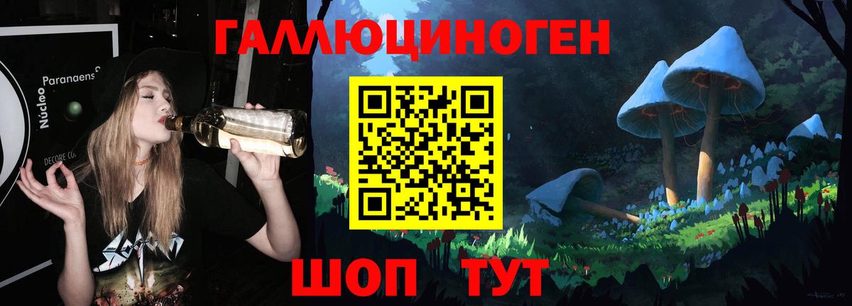 Галлюциногенные грибы Psilocybine cubensis  Псилоцибиновые грибы мухоморы  Соль-Илецк  Вход с VPN 
